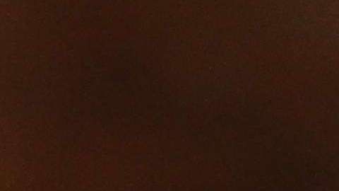 Ceremonia de ciudadanía en biblioteca de Nueva York