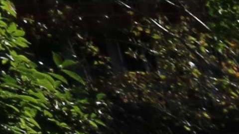 Dos de cada tres puertorriqueños, desaprueban de la gestión de Trump