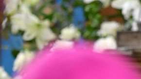 El papado de Francisco se ha visto permeado por  denuncias de abusos sexuales.