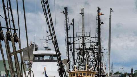 New Bedford fue la ciudad más rica per cápita de América del Norte.