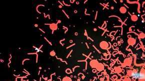 La mejor manera de protegerse es saber lo que se quiere comprar.