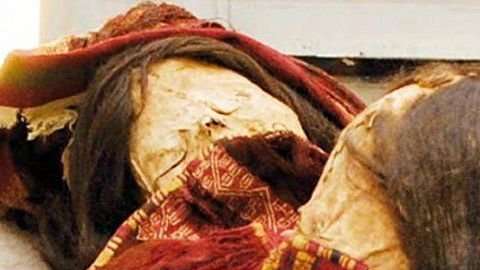 Las momias están en el Museo Regional de Iquique.