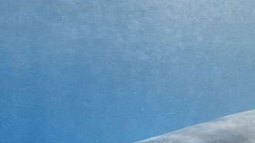 El ataque fue contra tiburones enormes.