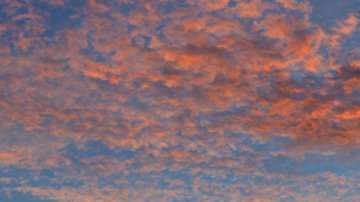 Los mayas fueron una de las mayores culturas precolombinas.