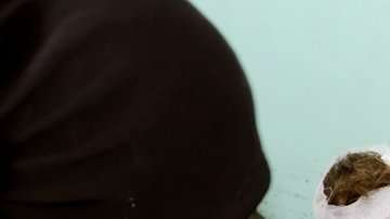 Unos 29 niños murieron y otros 30 resultaron heridos.