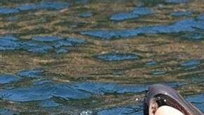 La orca, conocida como J35, no soltaba a su cría muerta.