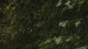 Lewis Vaughan Jones pensó que no podría volver a trabajar.