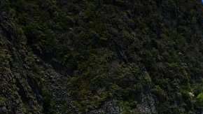 Maya Bay en Tailandia se hizo famosa y ahora tuvo que cerrar.