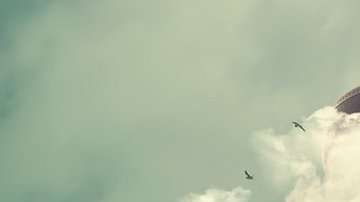 102981890_0a-gettyimages-861553788