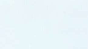 Sushis de salmón y atún, manga y kani muestran diferentes regiones del cerebro en este gráfico hecho por Janelle Letzen.