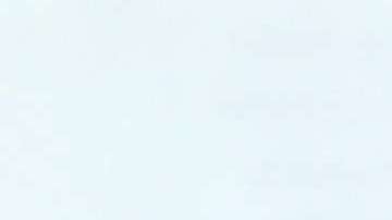 Sushis de salmón y atún, manga y kani muestran diferentes regiones del cerebro en este gráfico hecho por Janelle Letzen.