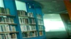 Las cifras oficiales sugieren que se reportan tres ataques sexuales a diario en el estado de Puebla.