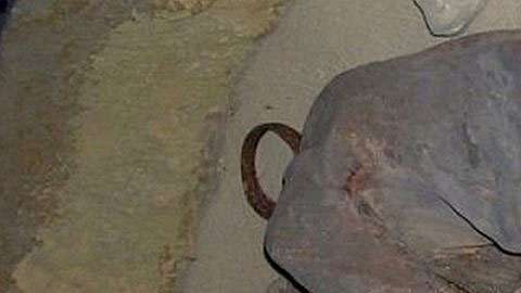 La fórmula fue descubierta tras estudiar esta momia.