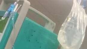 Goodman, quien tiene 56 años, ejerce la docencia en Florida, Estados Unidos.