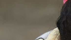 Más de 4,000 venezolanos ingresan a Ecuador cada día.