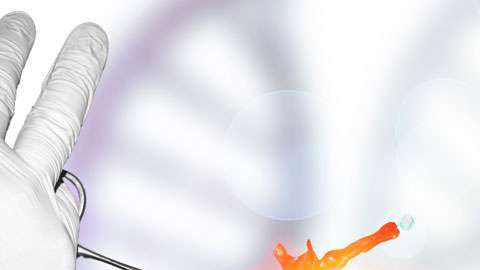 CRISPR es una técnica que permite recortar secciones de ADN.