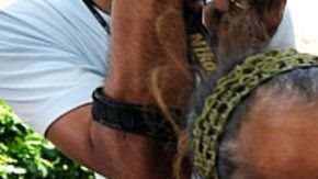 Los 72 asesinados en San Fernando, Tamaulipas, eran inmigrantes.