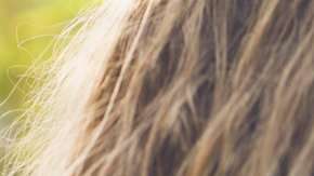 Los recuerdos del ser humano se pueden remontar hasta la edad de los 3 o 4 años.