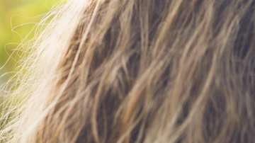 Los recuerdos del ser humano se pueden remontar hasta la edad de los 3 o 4 años.