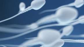 Muchos mitos existieron alrededor del semen.