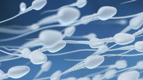 Muchos mitos existieron alrededor del semen.