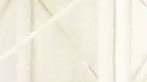 López Obrador se suele trasladar en aviones comerciales