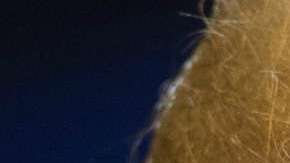 Se espera que la enmiendas del partido demócrata tenga fuerte resistencia