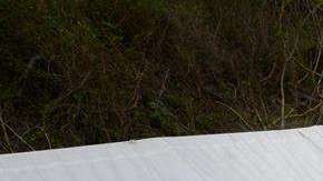 Violencia en México