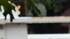 Sessions insta a autoridades locales a poner fin a las políticas "santuario"