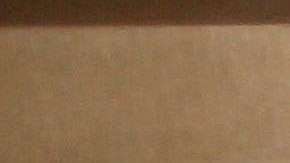 La DEA ocupó drogas por valor de $5 millones de dólares.