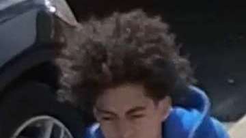 El presunto ladrón fue captado por cámaras de vigilancia.