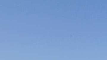 08/22/18 / LOS ANGELES/ Sayda Ayala, 27-year-old Honduran, with her son Caleb, 6, at their business in Whittier. Sayda came to the U.S. as an unaccompanied minor at age 14 in 2003, became a DACA recipient in 2015 and now owns her company ÒMilestone Truck Sales Inc.Ó (Aurelia Ventura/La Opinion)