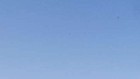 08/22/18 / LOS ANGELES/ Sayda Ayala, 27-year-old Honduran, with her son Caleb, 6, at their business in Whittier. Sayda came to the U.S. as an unaccompanied minor at age 14 in 2003, became a DACA recipient in 2015 and now owns her company ÒMilestone Truck Sales Inc.Ó (Aurelia Ventura/La Opinion)