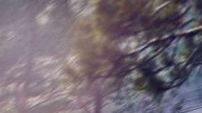 Lo conocemos dos semanas antes de lo pensado.