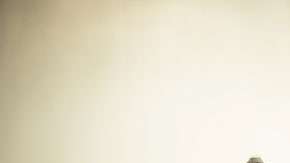 Hasta ahora, se desconoce el origen de esta señal.