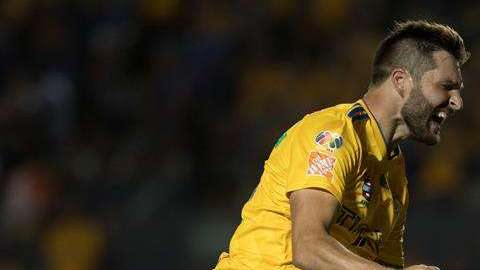 Andre Gignac vuelve a darle a Tigres la alegría del gol, ahora ante Veracruz. (Foto: EFE/Miguel Sierra)