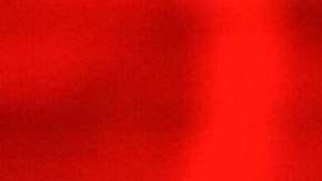 El senador John McCain.