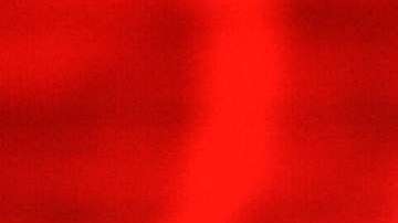 El senador John McCain.