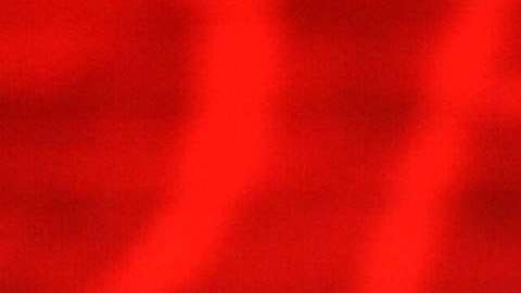 El senador John McCain.