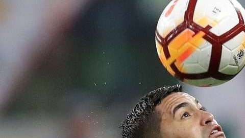 Palmeiras es uno de los equipos que jugarán los cuartos de final de la Copa Libertadores. (Foto: EFE/Sebastião Moreira)