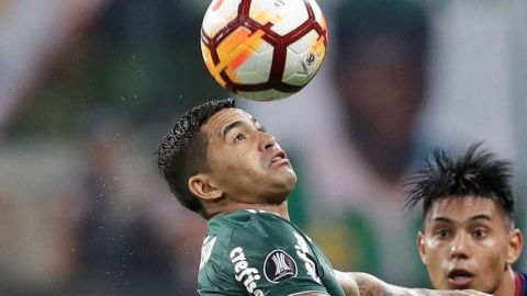 Palmeiras es uno de los equipos que jugarán los cuartos de final de la Copa Libertadores. (Foto: EFE/Sebastião Moreira)