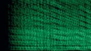 Tuvo acceso a información confidencial