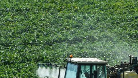 El glifosato es usado a través de diversas marcas comerciales.