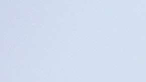 Por más de una década, la EPA ha postergado la prohibición del clorpirifós.