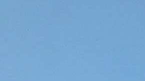 La aerolínea alega que el caso se trata de un simple “error de asignación de asientos”.