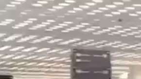 El mandatario electo accede a tomarse "selfies".