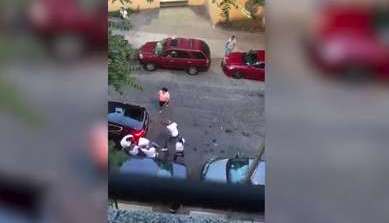 El pleito se reportó este martes en la avenida Creston cerca de la calle 182, en Fordham Heights.