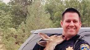 Un policía salva a un cervatillo del fuego.