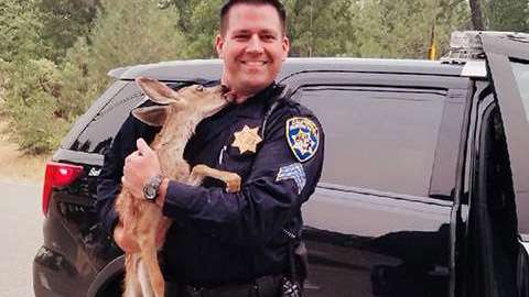 Un policía salva a un cervatillo del fuego.