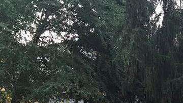 Parte de los prófugos al llegar a una casa